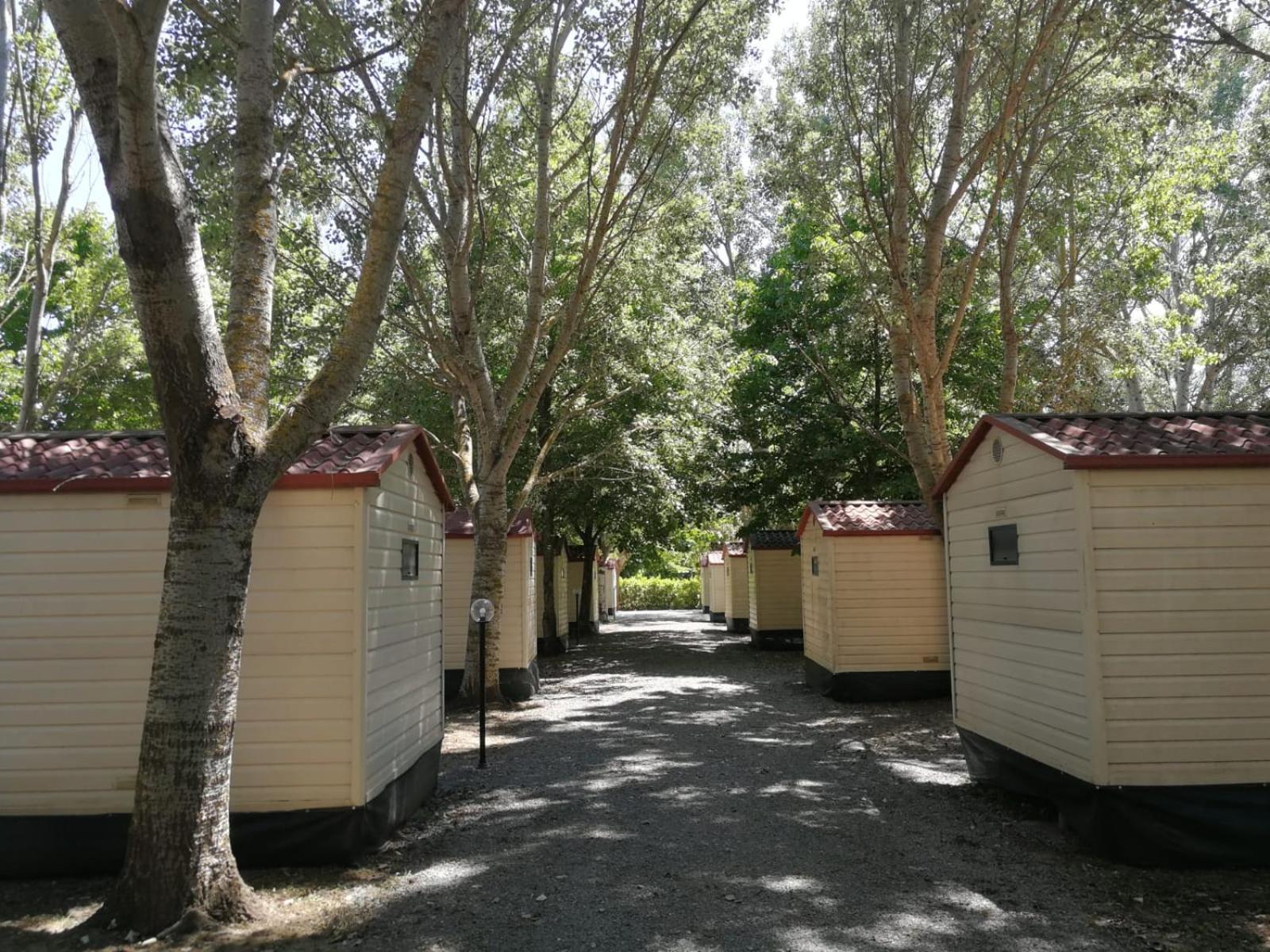 Bolsena Holiday House Ngoại thất bức ảnh