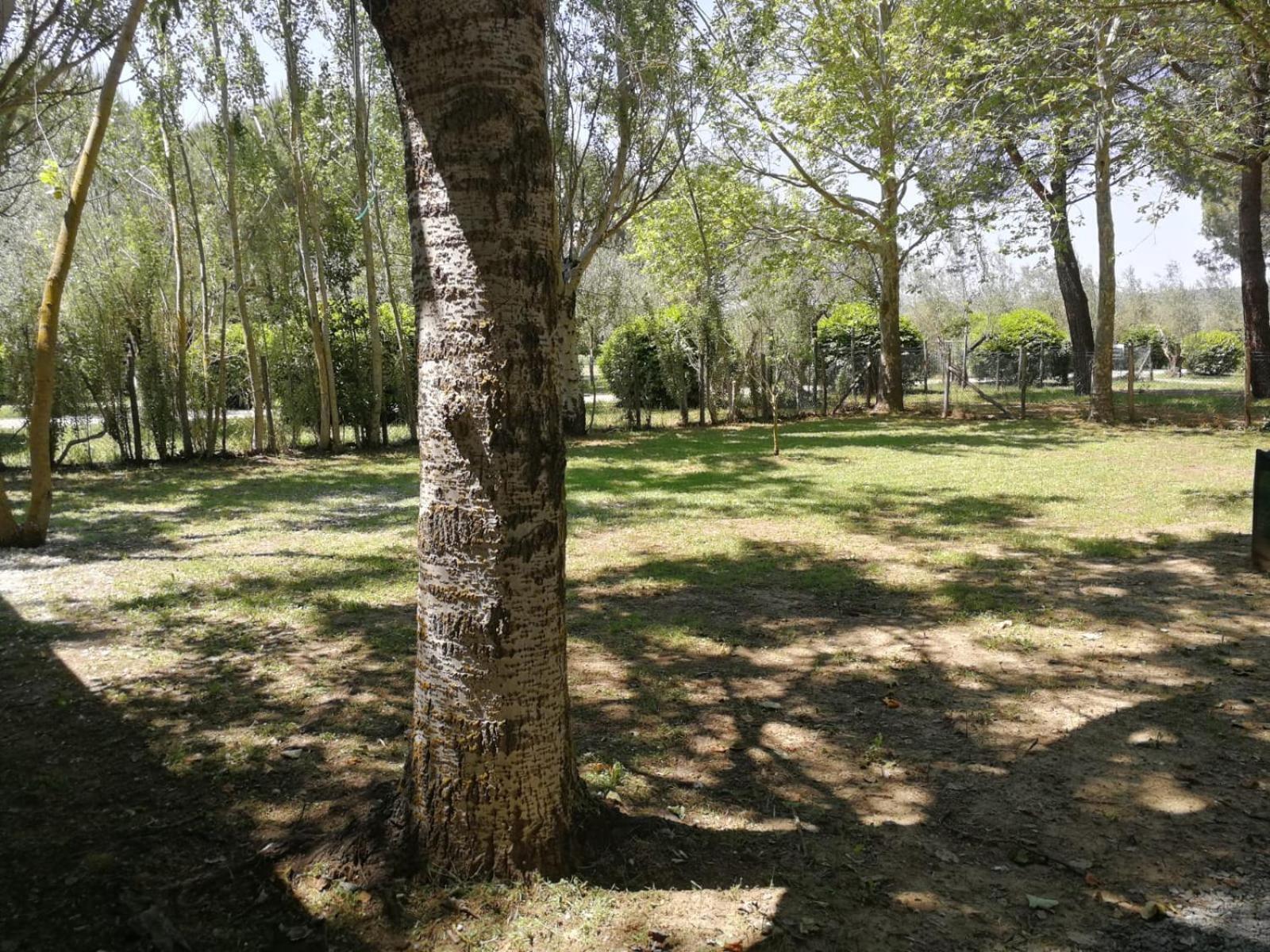 Bolsena Holiday House Ngoại thất bức ảnh